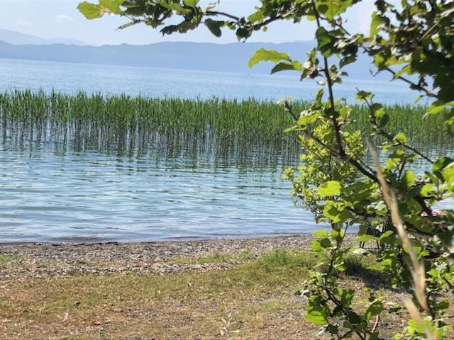 Korali Apartment Ochryda Zewnętrze zdjęcie